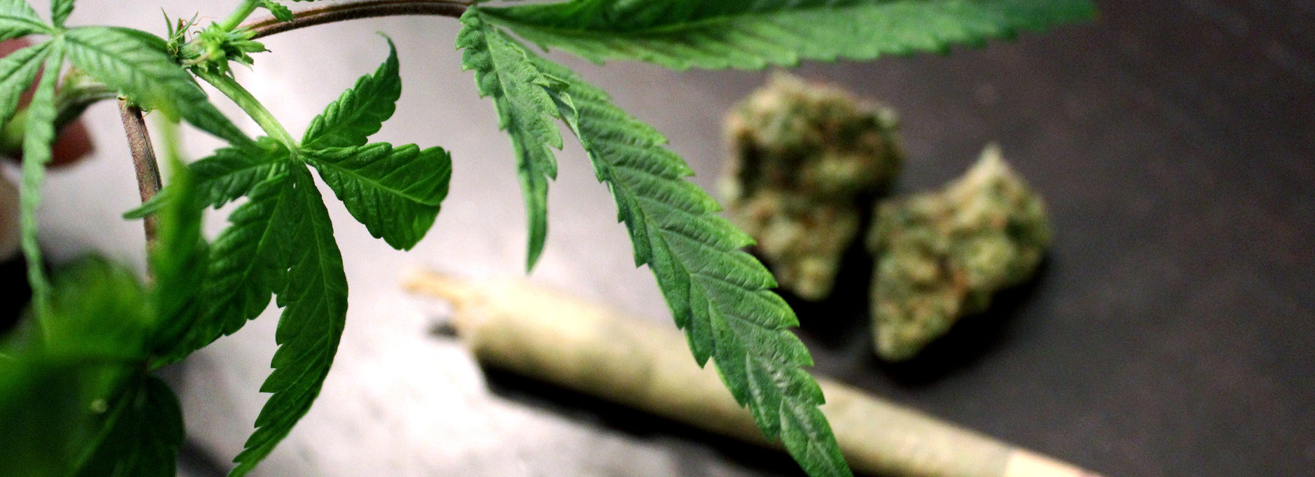cbd vape pen
