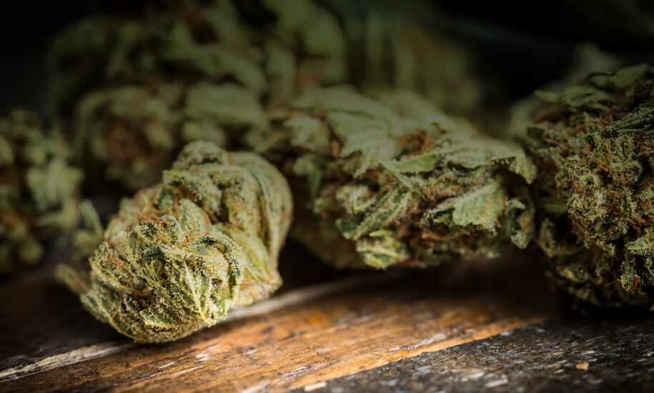 Weed Thailand
