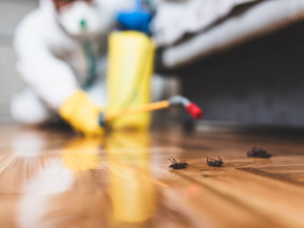 Pest Control